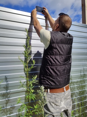 Детская поликлиника - 12.jpg